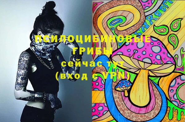 мдпв Богородск
