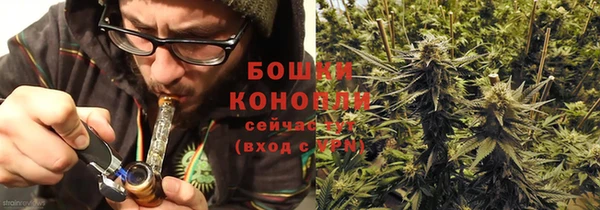 a pvp Богданович