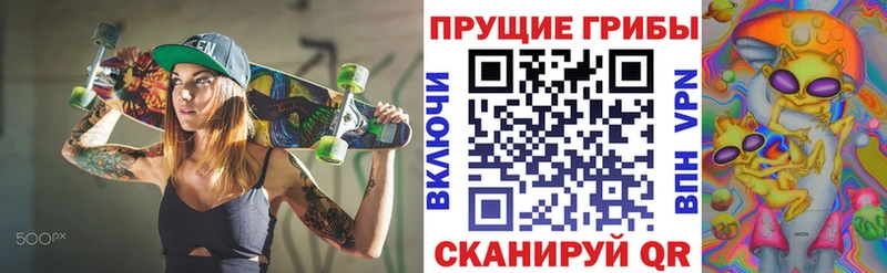 купить наркоту  Волчанск  Псилоцибиновые грибы ЛСД 